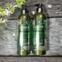 Dầu gội bưởi - cặp dầu gội xả bưởi grapefruit 850ml phục hồi hư tổn tóc ( 2597_goi_xa_buoi_grapefruit )