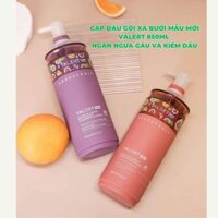 Dầu gội bưởi - dầu xả bưởi, dầu cặp VALERT GRAPEFRUIT 850ml chống rụng kích mọc tóc phục hồi tóc hư tổn chính hãng Mei