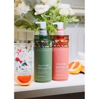 Dầu gội bưởi - dầu xả bưởi, dầu cặp VALERT GRAPEFRUIT 850ml chống rụng kích mọc tóc phục hồi tóc hư tổn chính hãng