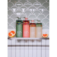 Dầu gội bưởi Valert 2025 Grapefruit Dầu gội xả Valert iloliyes Chống rụng tóc kích thích mọc tóc