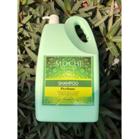 Dầu gội can hương nước hoa 4500ml