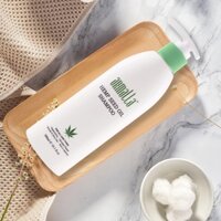 Dầu gội cao cấp tinh dầu hạt gai phục hồi tóc khô xơ, hư tổn Armalla 300ml