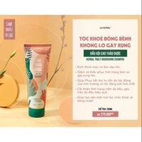 DẦU GỘI CAO THẢO DƯỢC