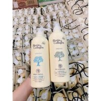 Dầu gội cặp BIOTIN & COLLAGEN_chai 1000ml