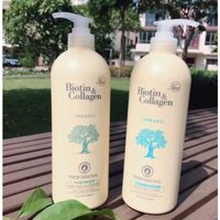Dầu gội cặp biotin& collagen của Ý 1000ml - Mỹ phẩm phụ liệu tóc phương vui 6