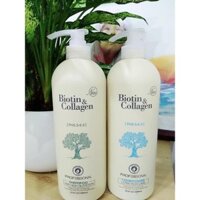 dầu gội cặp cao cấp