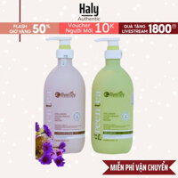 Dầu Gội Cặp Eillyelsty Green Tea 800ml, Combo Gội Xả Nuôi Dưỡng Tóc Chiết Xuất Từ Lá Trà Xanh Phục Hồi Hư Tổn Haly Auth