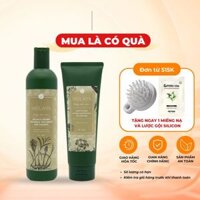 Dầu Gội Cặp Gừng Hà Thủ Ô Ngăn Ngừa Giảm Rụng Tóc Weilaiya - Dầu Gội Xả Thuốc Bắc Giảm Gàu, Kích Thích Mọc Tóc Nhanh