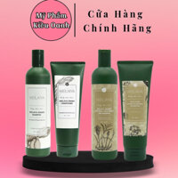 Dầu gội cặp gừng Weilaiya nâu