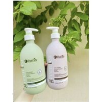 Dầu gội cặp trà xanh Eillyesty phục hồi