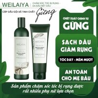 Dầu Gội Cặp Weilaiya Thảo Dược Mọc Tóc Hỗ Trợ Trị Gàu Dưỡng Tóc, Đen Tóc Cho Tóc Nhuộm Tinh Chất Gừng Cao Cấp Chiết Xuất 100 Từ Thiên Nhiên Không Chứa Sunfat Tạo Bọt Gội 400ml- Xả 250ml- Sản Phẩm Chính Hãng