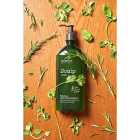 Dầu gội chăm sóc da đầu chiết xuất hương thảo Aromatica Rosemary Scalp Scaling Shampoo