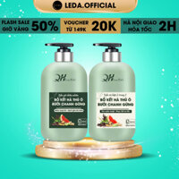 Dầu gội chanh gừng QH Lactus Season Dầu gội bồ kết hà thủ ô bưởi ngăn gàu, kiềm dầu, gãy rụng 500ml