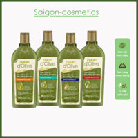 Dầu Gội Chiết Xuất Từ Tinh Dầu Tự Nhiên Olive Dalan d’Olive 400ml