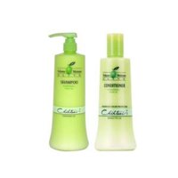 Dầu gội Chihtsai olive cho tóc khô hư tổn 1000mlx2