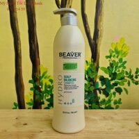 Dầu gội cho tóc dầu Beaver Scalp Balancing Shampoo +++8 768ml(2023)