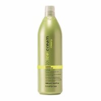 Dầu gội chống dụng tóc Inebrya Energy Shampoo 1000ml