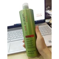 Dầu Gội Chống Rụng Tóc Inebrya Energy Shampoo 300ml