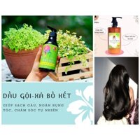 DẦU GỘI CỎ CÂY HOA LÁ   TÓC KHỎE, GIẢM RỤNG, MỌC TÓC