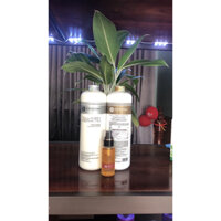 Dầu gội COLAGEL 1000ml