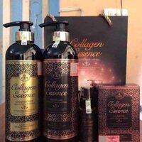 Dầu gội colagen yody