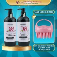 Dầu gội collagen QH Lactus season dầu gội cho da dầu bết, ngăn gàu combo dầu gội dầu xả ngăn rụng tóc 800ML
