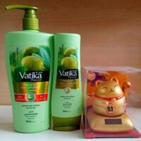 Dầu gội Dabur Vatika nuôi dưỡng và bảo vệ 700ml