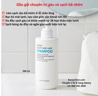 Dầu gội đặc biệt chuyên trị gàu lâu năm chứa chiết xuất 28 loại thảo mộc mát lạnh da đầu 500ml -  Atomy Scalp Care Hair Shampoo 500ml - 애터미 스칼프 샴푸 - Атоми Скалпкеар Шампунь