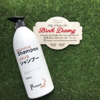 Dầu gội đặc trị gầu chống dầu chống rụng tóc Prosee Balancing Shampoo AS14 1000ml