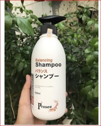 Dầu gội đặc trị gầu chống dầu chống rụng tóc Prosee Balancing Shampoo AS3 500ml