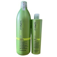 Dầu gội dành cho tóc gầu, tóc dầu Inebrya Ice Cream Cleany Shampoo 1000ml