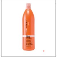 DẦU GỘI DÀNH CHO TÓC KHÔ RỐI BÔNG XÙ INEBRYA ICE CREAM DRY T 1000ML