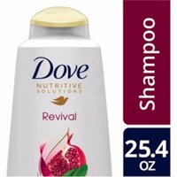 Dầu gội dành cho tóc nhuộm Dove Revival Color Care Shampoo 603ml (Mỹ)