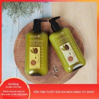 Dầu gội đầu ARGAN Hachi dành cho tóc hư tổn khô sơ - Cặp dầu gội xả Phục Hồi Tóc Khô Và Hử Tổn