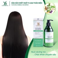 Dầu gội đầu NATURAL SHAMPOO YSB 33010001