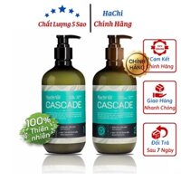 Dầu gội đầu olive cao cấp HACHI Cascade collagen 500g xanh ngọc dành cho tóc gàu - cặp dầu gội xả hương thơm dễ chịu