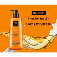 Dầu gội đầu perfect