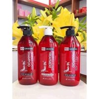 Dầu gội đầu sâm đỏ Hàn Quốc