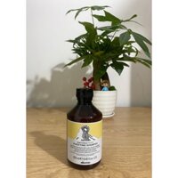 Dầu Gội Davines Purifying Thảo Dược Ngăn Gàu 250ml