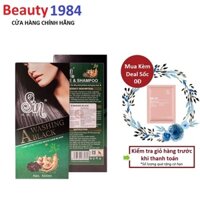 Dầu gội đen phủ bạc Sin. hair 500ml, thuốc nhuộm tóc nâu đen thảo mộc nhân sâm tự nhiên chỉ sau một lần gội