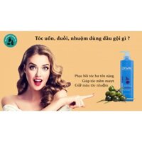 DẦU GỘI DIVA COSMETICS PHỤC HỒI XƠ TỔN VÀ DÀNH CHO TÓC NHUỘM