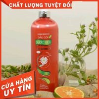 DẦU GỘI DƯỢC LIỆU 3 - THÁI THÁI DƯƠNG - 600ML: GIÁ 165K GIẢM CÒN 140K; 1100ML: GIÁ 255K GIẢM CÒN 230K