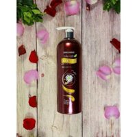 DẦU GỘI DƯỢC LIỆU THÁI DƯƠNG 7 CHAI 600ML ( tặng sữa tắm Nature Queen chai 20ml)