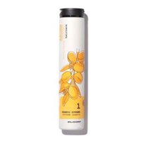 Dầu gội dưỡng ẩm vượt trôi, chống oxy hóa Elgon Argan Supreme Shampoo 250ml