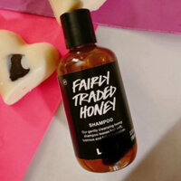 Dầu Gội FAIRLY TRADED HONEY chiết 50ml