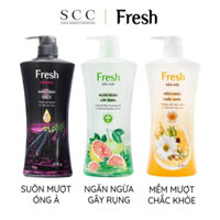 Dầu gội Fresh 650g giúp giảm gãy rụng tinh chiết bồ kết, bưởi hồng, tinh chất dầu hoa