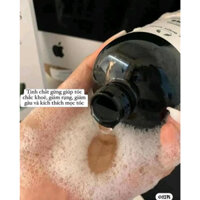 Dầu gội gừng The Body Shop BẢN TRUNG