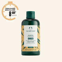 Dầu gội gừng The Body Shop Ginger Scalp Care Shampoo 400ml Giảm gàu kích thích mọc tóc