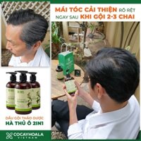 Dầu gội hà thủ ô 🍃FREESHIP🍃 Dầu Gội thảo dược Kích Thích Sắc Tố Mầm Tóc Cocayhoala 300g [dau goi]