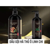 Dầu Gội Hà Thủ Ô